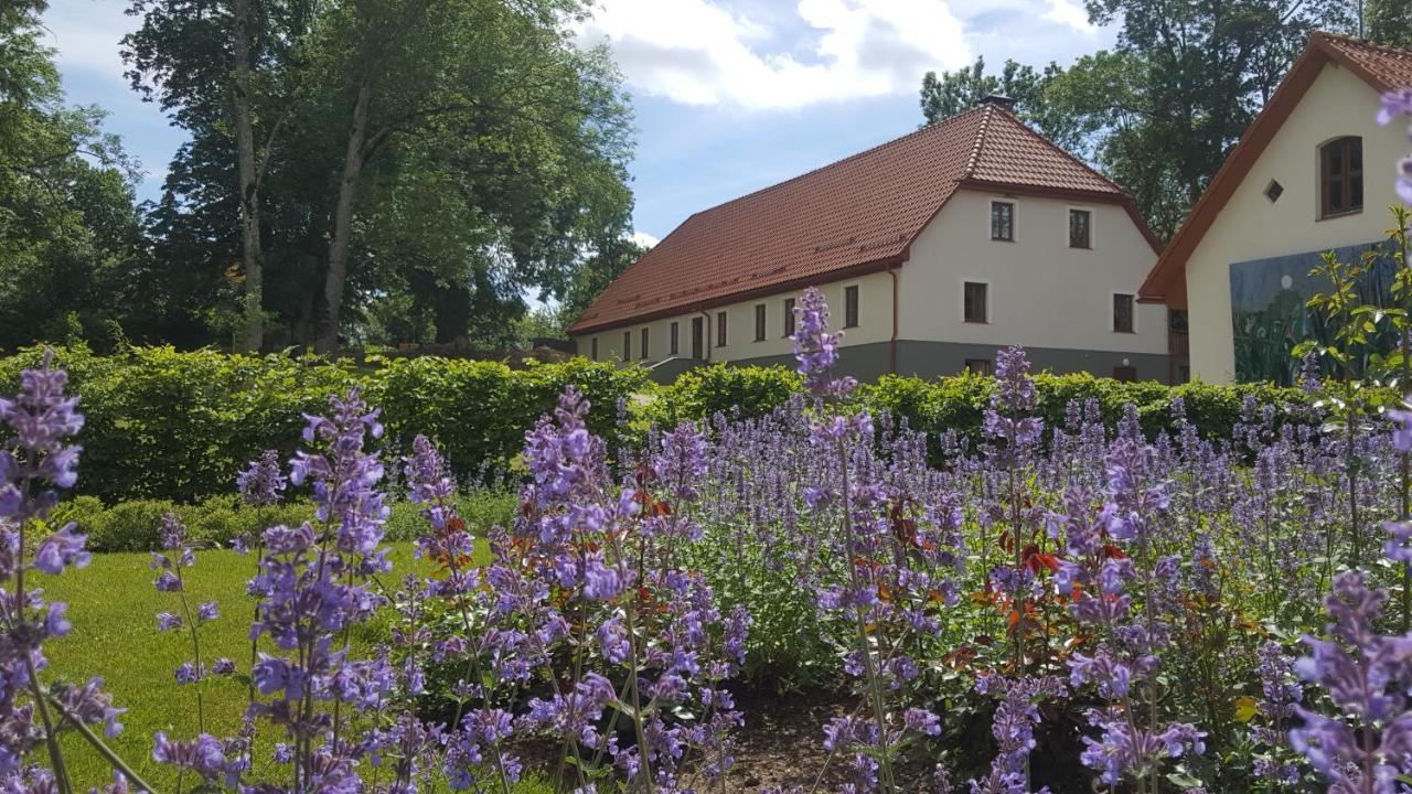 Hotel Kalnmuizas Pils Exterior foto